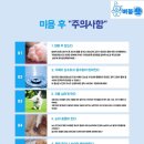 버블펫 이미지