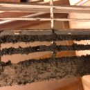 유명숯불갈비 이미지