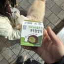 페이보릿카롱 | 두바이엔 없는 두바이 초콜릿 쫀득 쿠키 리뷰