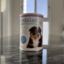 340 | 에스빌락 파우더 340g 강아지 초유, 강아지분유 추천 후기