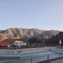 우다다애견 이미지