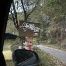 옥당걸숲속 | 김천 옥당걸숲속 캠핑장