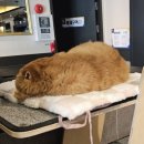 아이디온PC카페 이미지