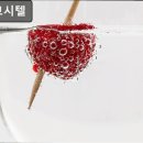 레몬고시텔