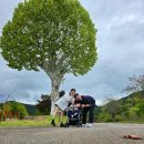 4호선 반여농산물시장역 | 부산 아이랑 가볼 만한 곳 해운대수목원 산책