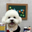 까까멍멍 이미지