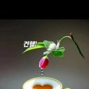 좋은날 네이버블로그