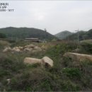 상라리 이미지