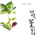 피다