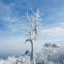 강릉 명품 산악회 신년 해돋이산행 이미지