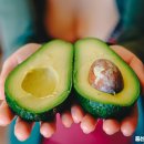 중산동물병원 이미지