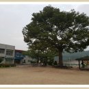 식당목천