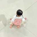 오헬모에드 이미지