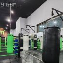 강해GYM | 가산동헬스 Y GYM 추천 위치 정보