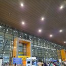본피시방 | 14박 15일 한국 여행기