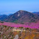 비슬산관광지 이미지