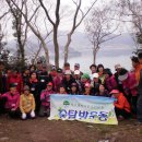 생명의 숲 이미지