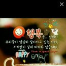 해피데이 이미지