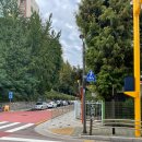 압구정동 주민센터 이미지