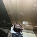 크레파스세탁소 이미지