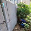 일층세탁 이미지