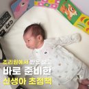 초점 | 초점책 언제부터 보여줄까? 신생아책 하뚱 아기 초점책 후기