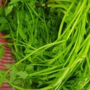 도덕농장 이미지