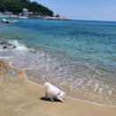 하저해수욕장(도로변) 이미지