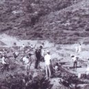 모란농장 이미지