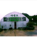 야생초농원 이미지