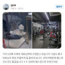 A 토탈 피트니스 | [율전동,율전동 헬스장] A휘트니스 PT전문 웨이트레이닝전문 헬스