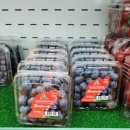 그집과일 이미지