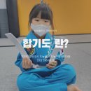 대성 합기도 이미지