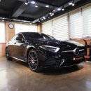 벤츠 CLS 450 부메스터 옵션에 대한 기대감이 큰 만큼, 실망감도 큽니다. 이미지