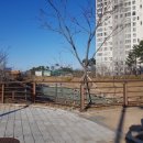 신평초교옆 공원 이미지