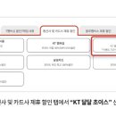 파파초이스