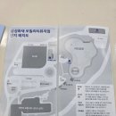 샵모빌리티 | 용인 가볼만한 곳 자동차를 좋아하는 7살 아이 리얼 후기 | 삼성화재 모빌리티뮤지엄