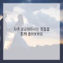 밸런스기구필라테스
