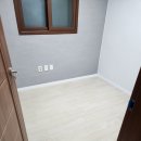우산종합장식