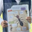 꿈틀꿈틀작은도서관 이미지