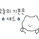 깻잎막회천안