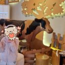 만석목장 이미지