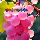 유월