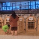 김포 스프링 스파 이미지