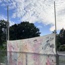 애니피아 이미지