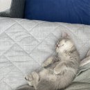 돈이돈이 | 돈 그만 쓰는 꿀팁 알려주세요
