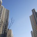 센트럴타운 이미지