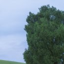 올림픽공원 이미지