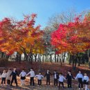 서래로4길 5 (1) 이미지