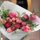 예스플리즈 이미지